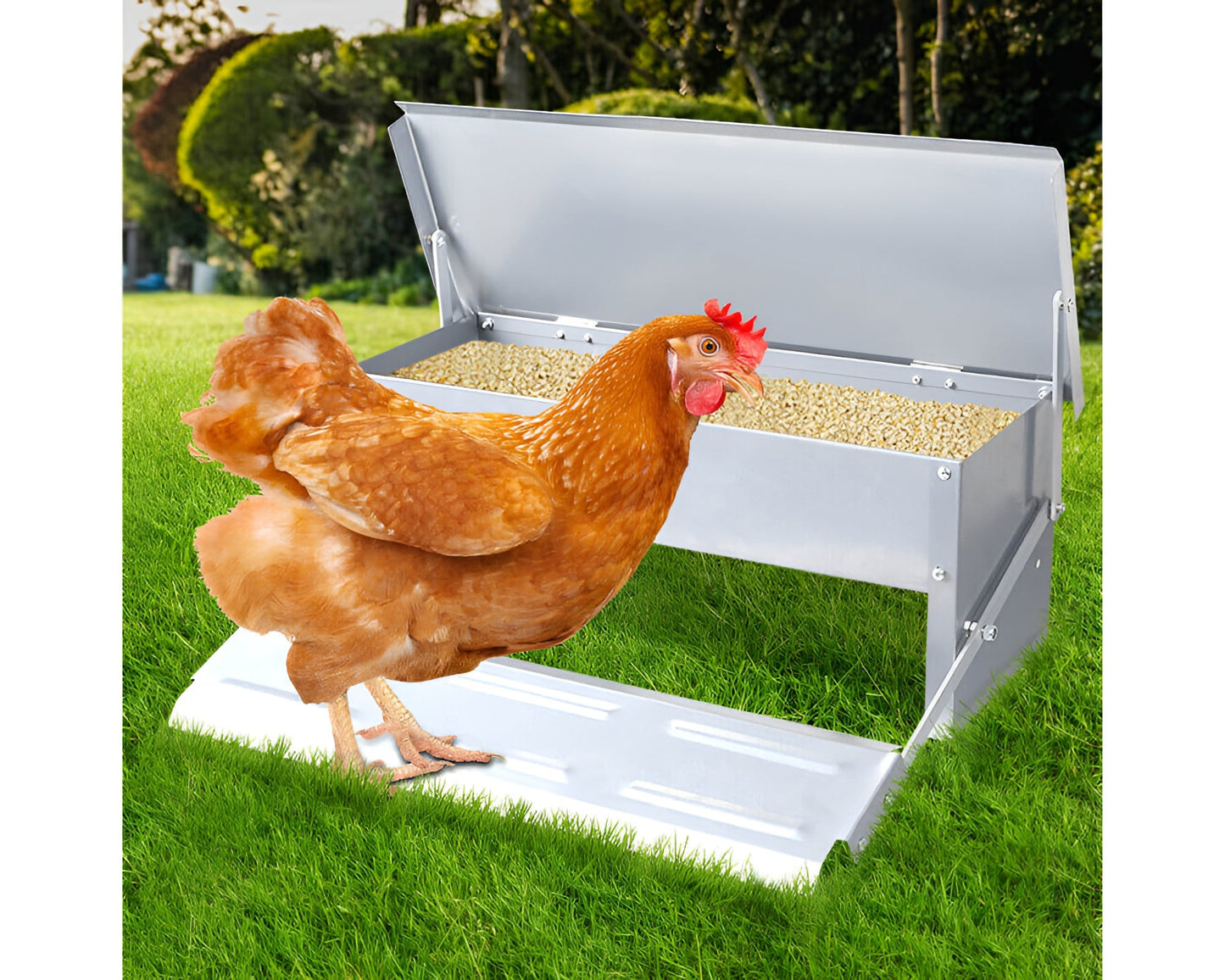 Automatic Chicken Feeder 5kg