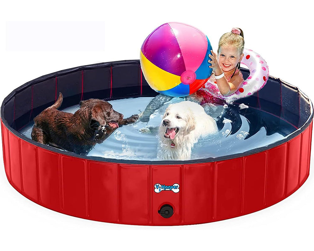 large dog swimming pool