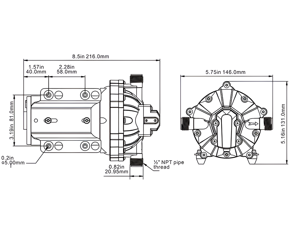 Seaflo 12V Dc Diaphragm Pump 5.0Gpm 60Psi