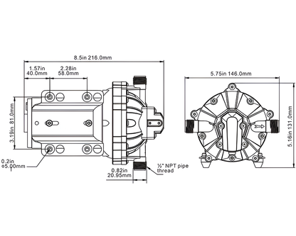 Seaflo 12V Dc Diaphragm Pump 5.0Gpm 60Psi
