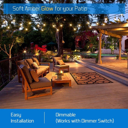 Outdoor Festoon Lights String Lights 10M