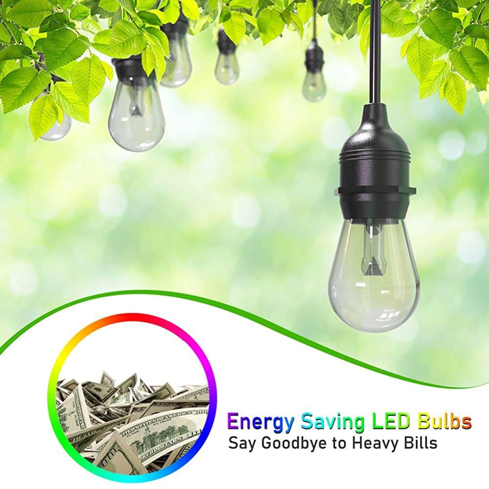 Waterproof Festoon Lights with 20M 24 bulbs RGB