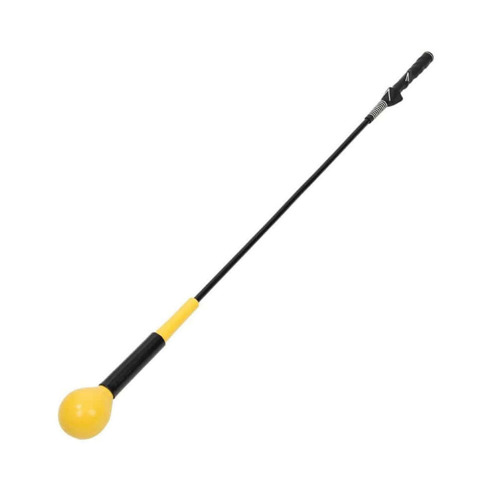 Golf swing trainer