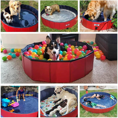 pet pool filled with water
