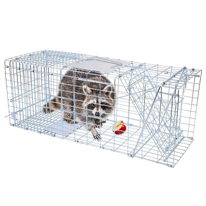 large possum trap cage