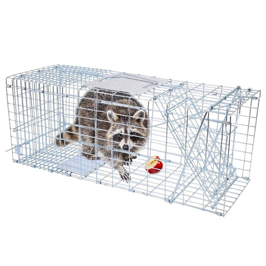 large possum trap cage