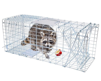 humane animal trap