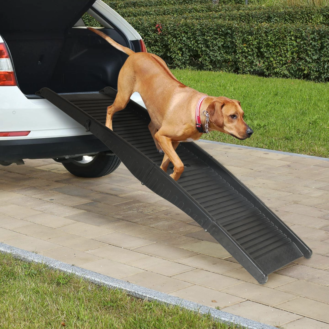 Pet Ramp Dog Ramp Foldable