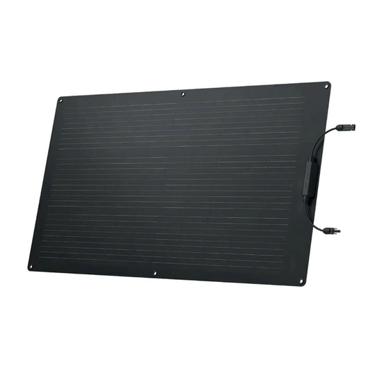 EcoFlow 100W Flexible Solar Panel