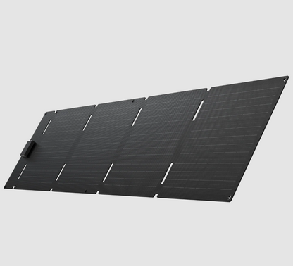 EcoFlow 60W Portable Solar Panel Type-C