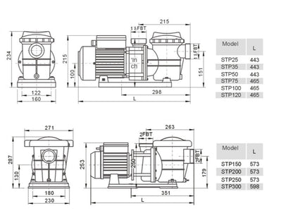 Swimming Pool Pump STP100 750W - Very Quiet