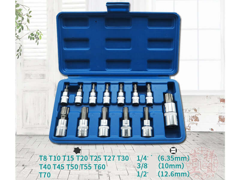 Torx bits closeup