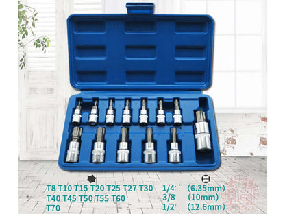 Torx bits closeup