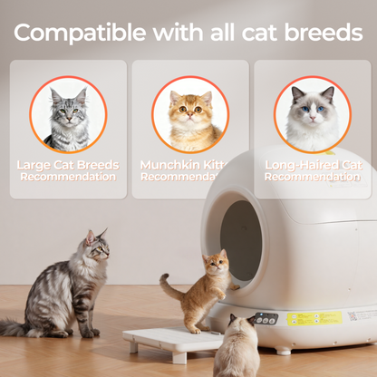 Automatic Self-Cleaning Smart Cat Litter Box
