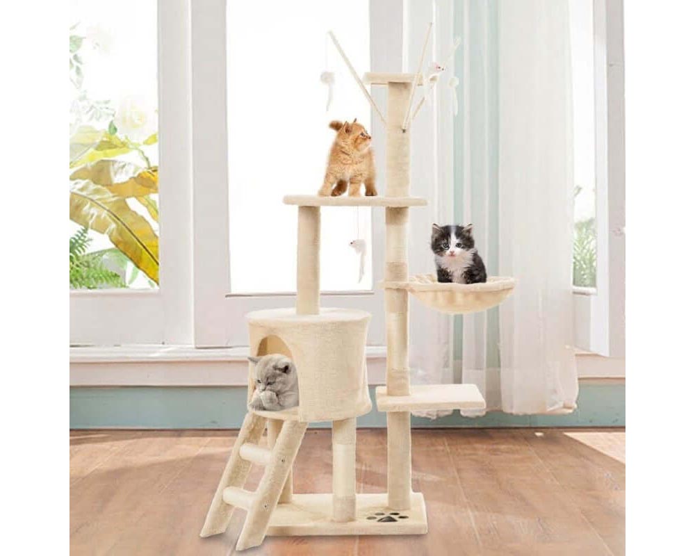 Cat basket on tree house