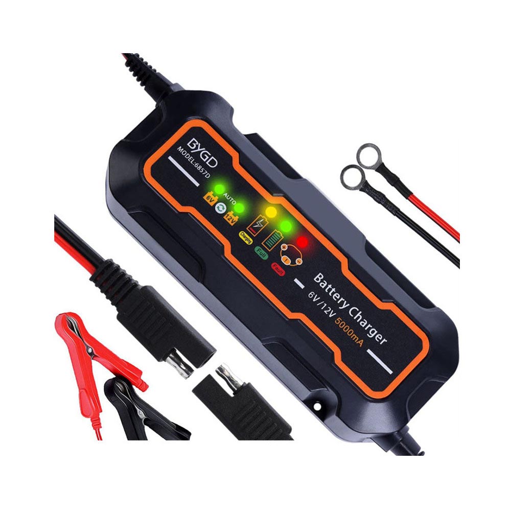 BYGD car battery charger