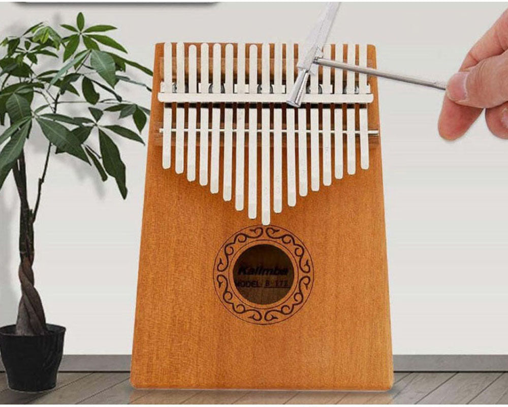 Kalimba for beginners and pros