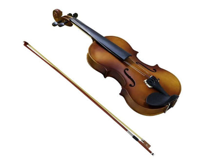 Full-size 4/4 Violin with Carrying Case Nature
