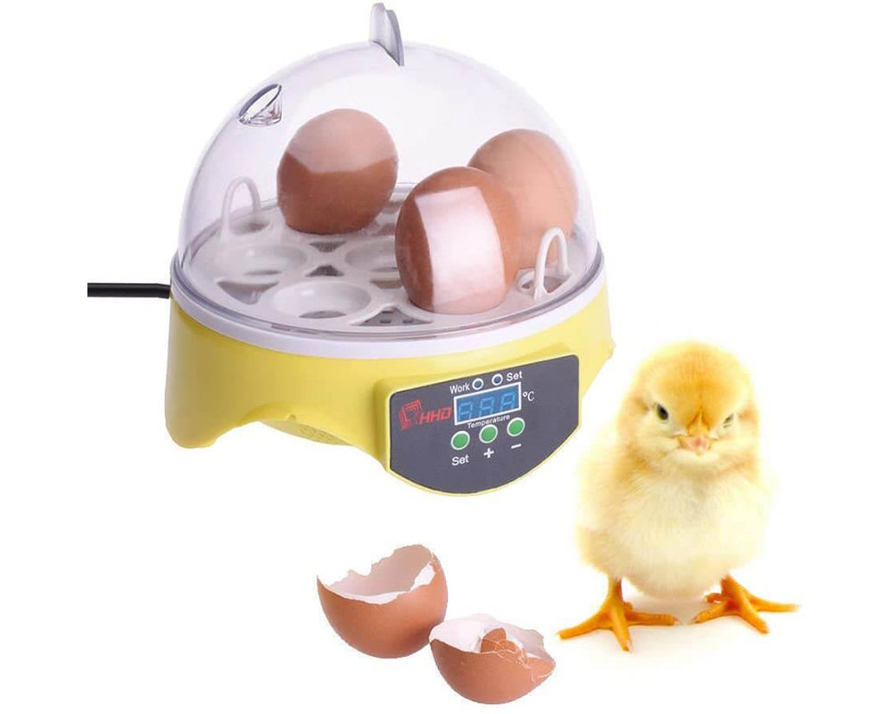 Egg incubator household use