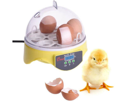 Egg incubator household use