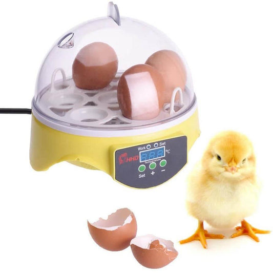 Automatic egg incubator front view