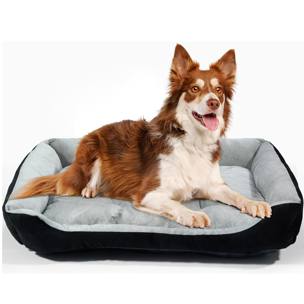 Medium dog bed sofa in beige color