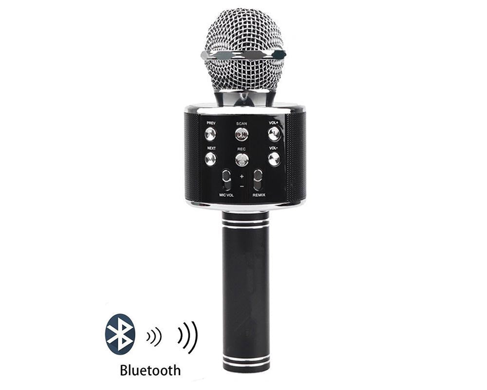 Mic for singing