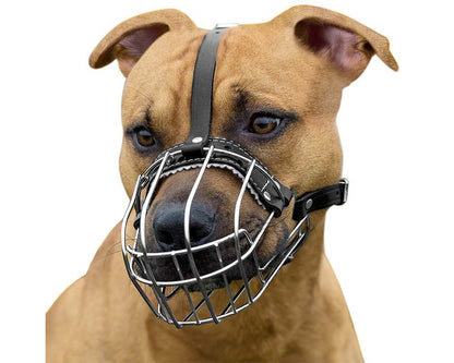 metal basket muzzle for dogs