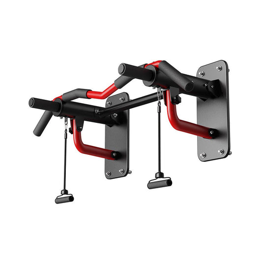 wall mounted pull up bar