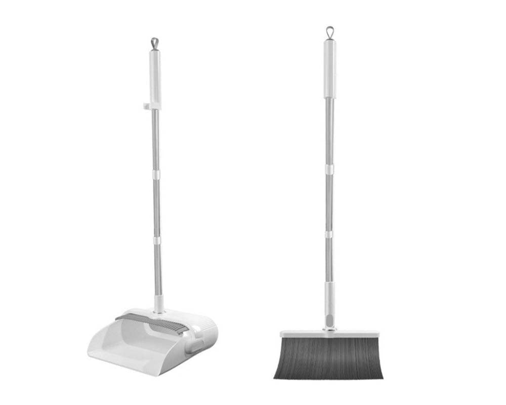 dustpan for pet hair removal