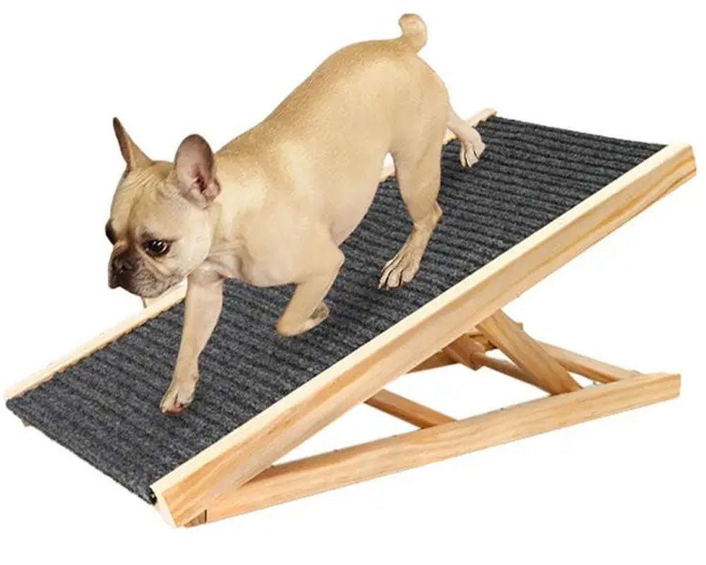 dog ramp home use