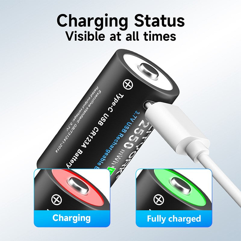 portable battery storage box