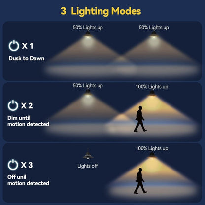 Solar light with motion sensor