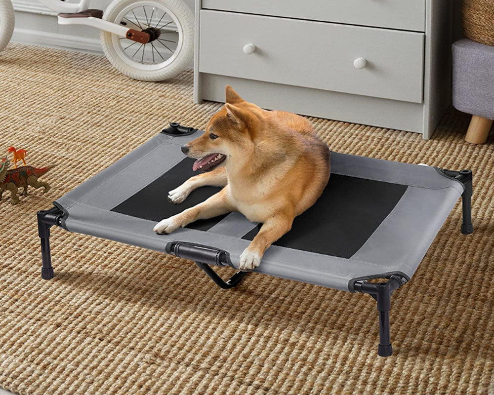 Dog Trampoline Bed for Pets