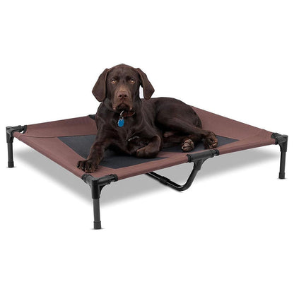 Raised dog trampoline bed