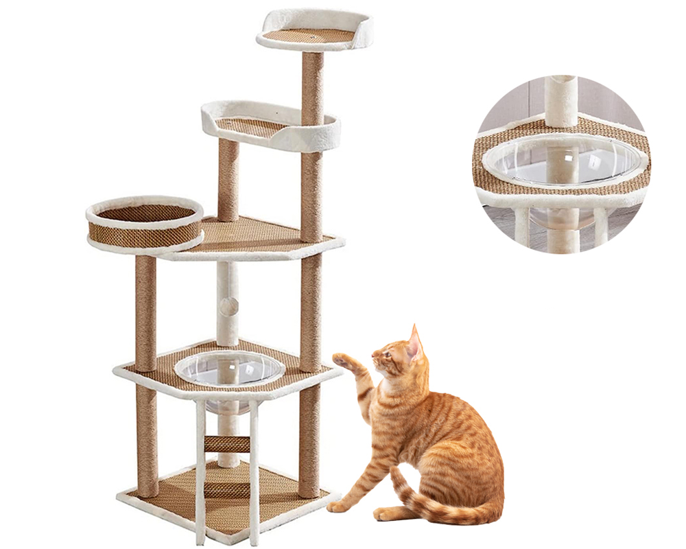 cat activity playground