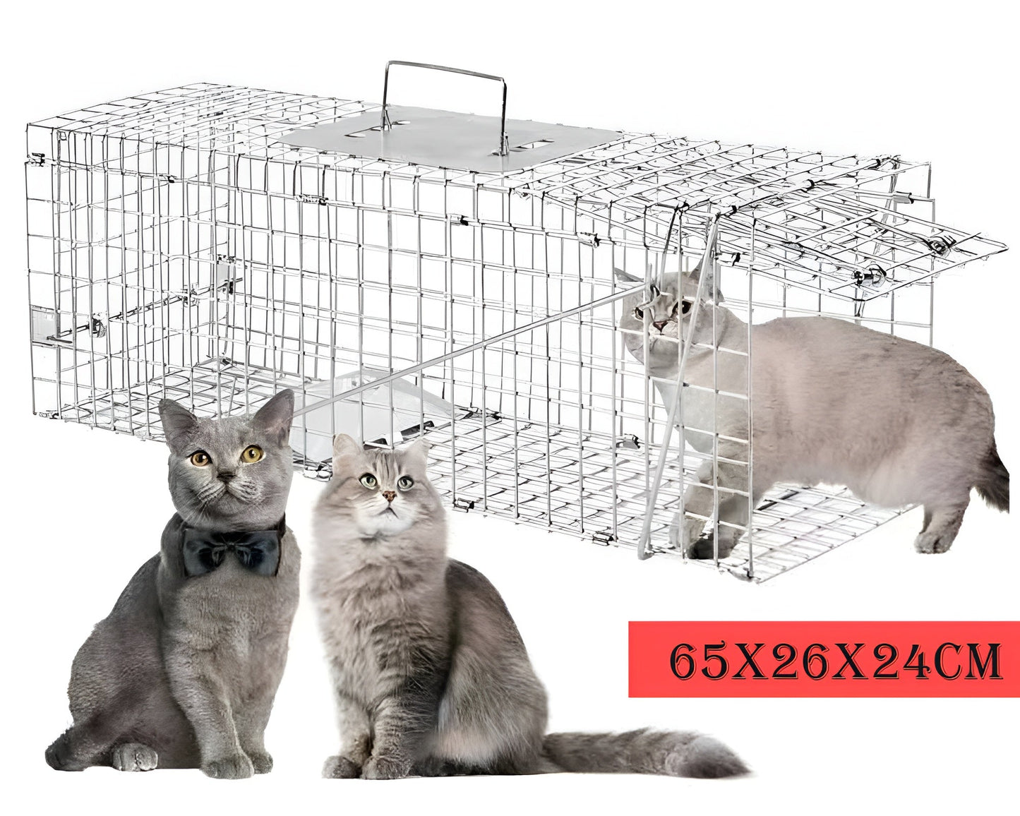 Possum Trap Large Animal Trap