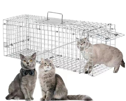possums raccoons squirrel trap