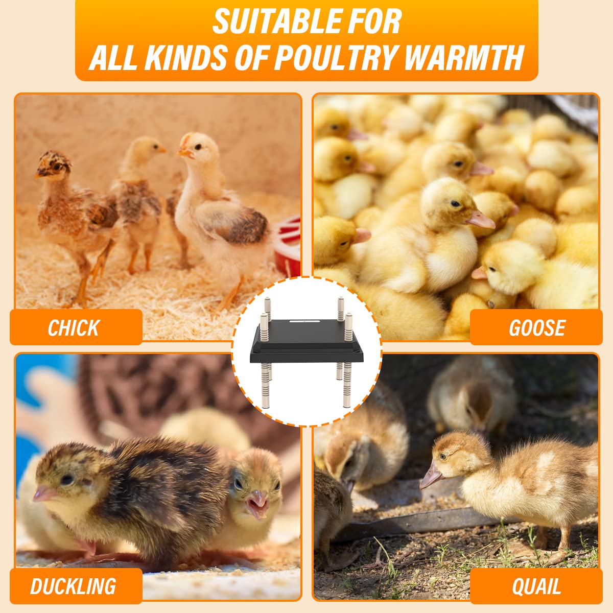 Chick Brooder Heating Plate Warmer,Chicken Coop Heater