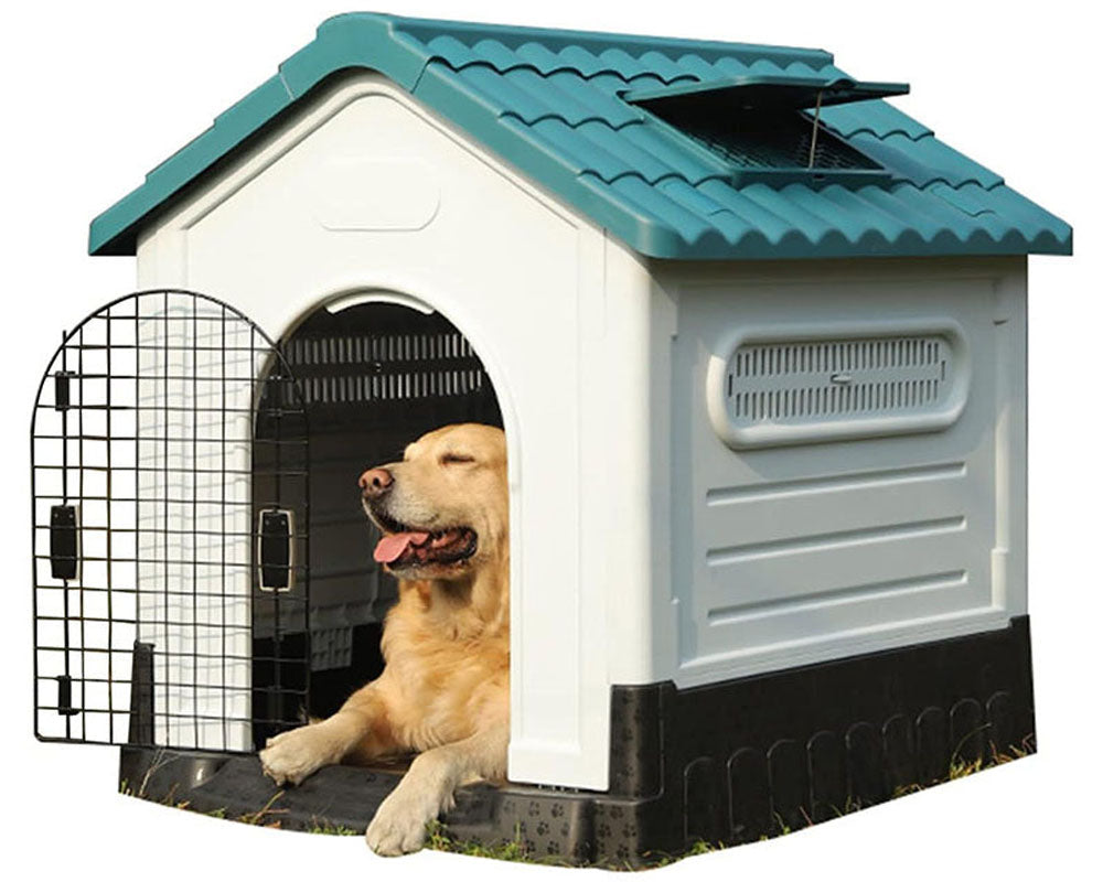 Spacious dog kennel interior