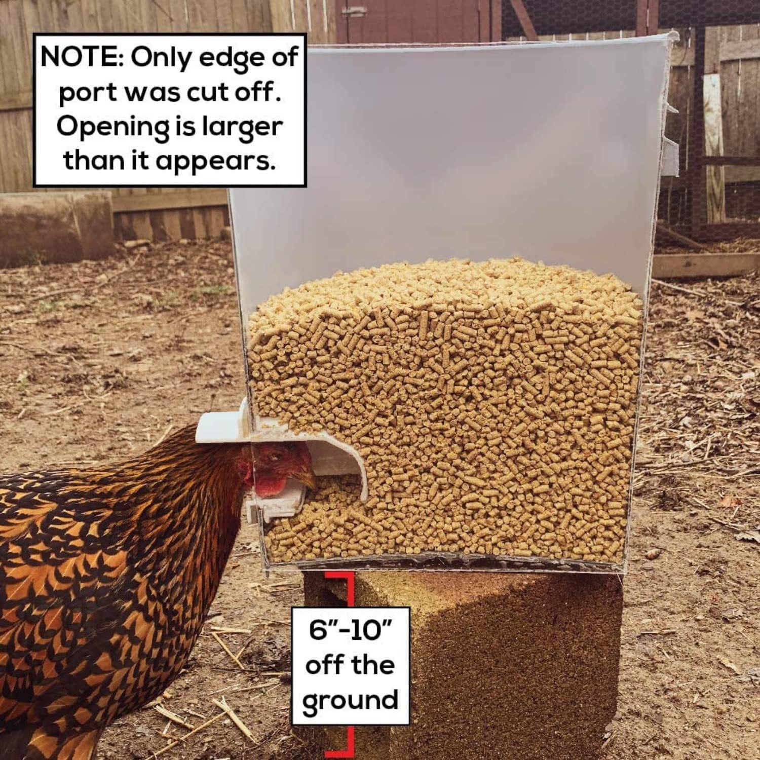 rainproof chicken feeder