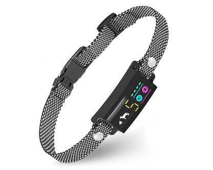 Dog collar with magnetic charger