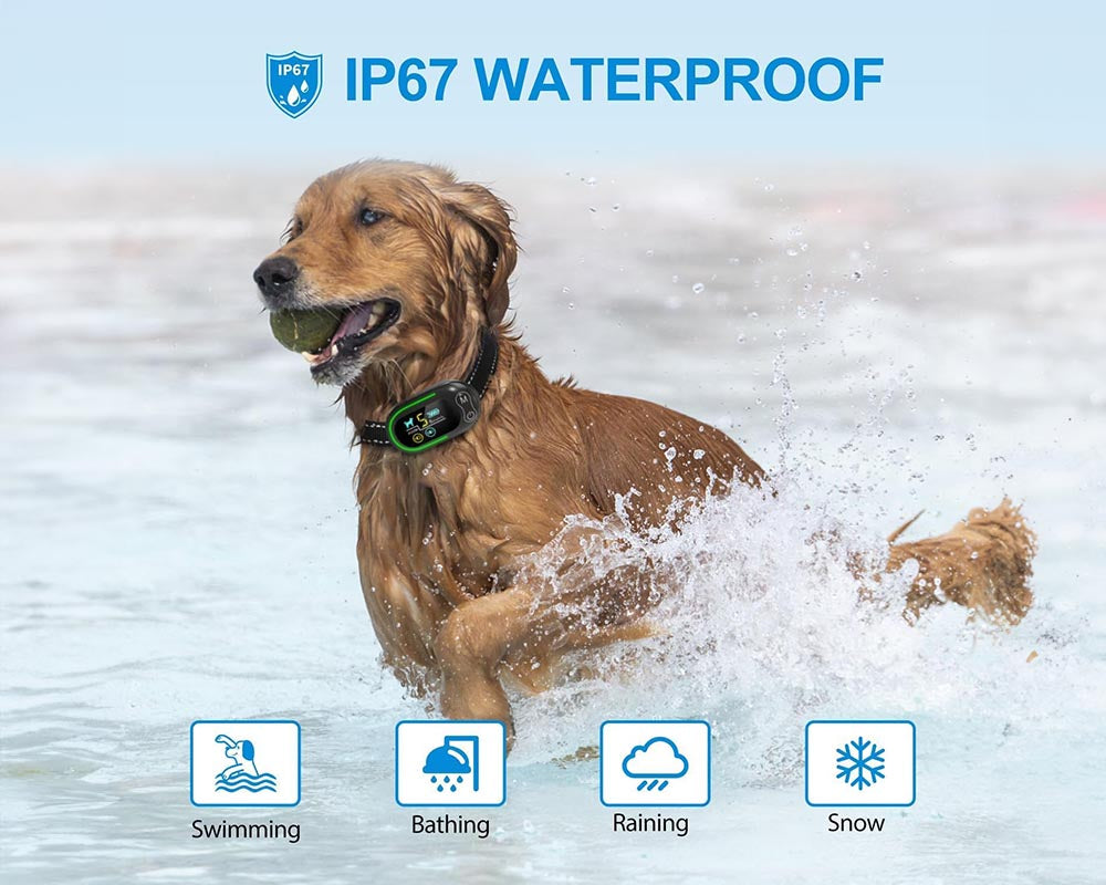 Smart No-Bark Dog Training Collar