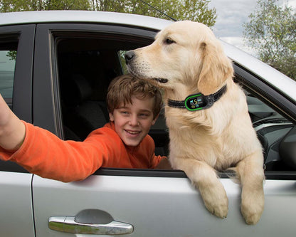 Smart No-Bark Dog Training Collar