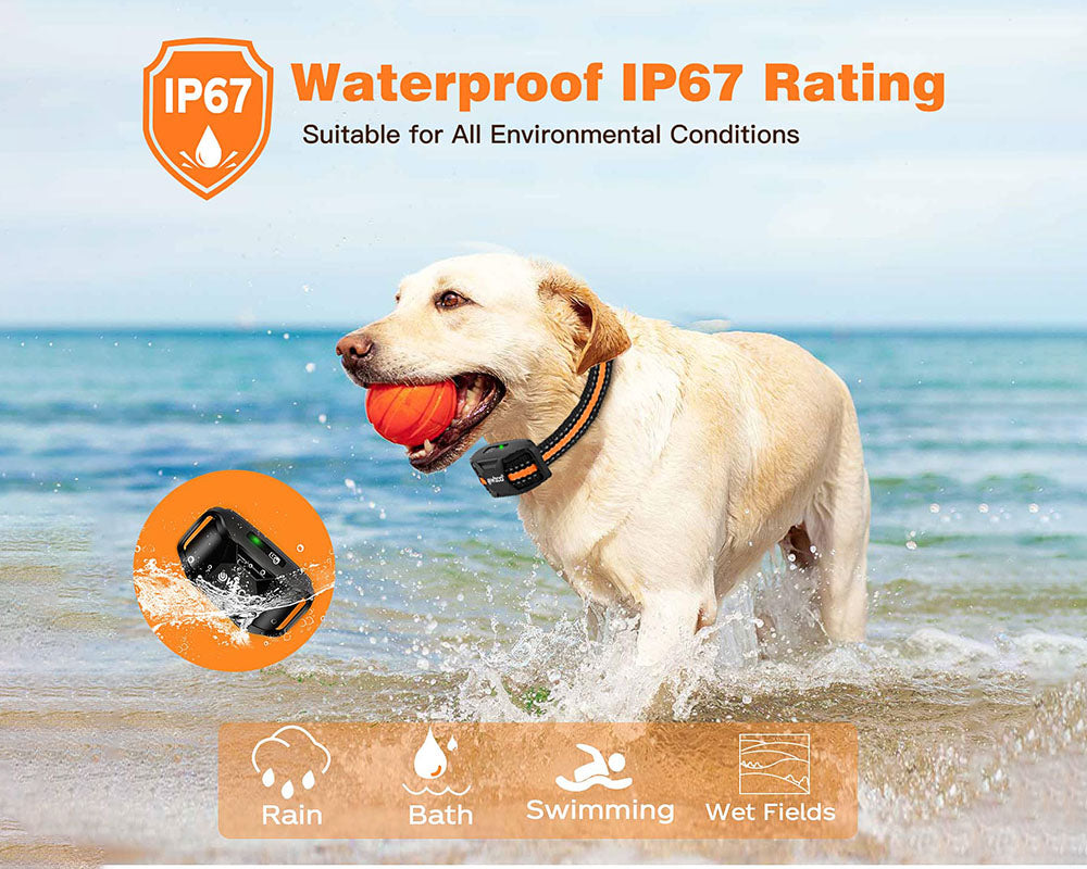 Anti Bark and Training Dog Collar