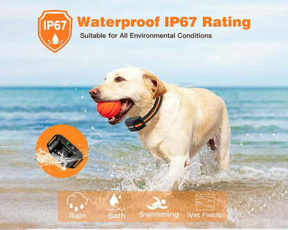 Anti Bark and Training Dog Collar