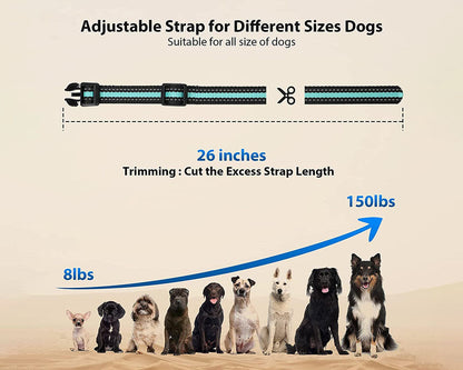 Anti Bark and Training Dog Collar