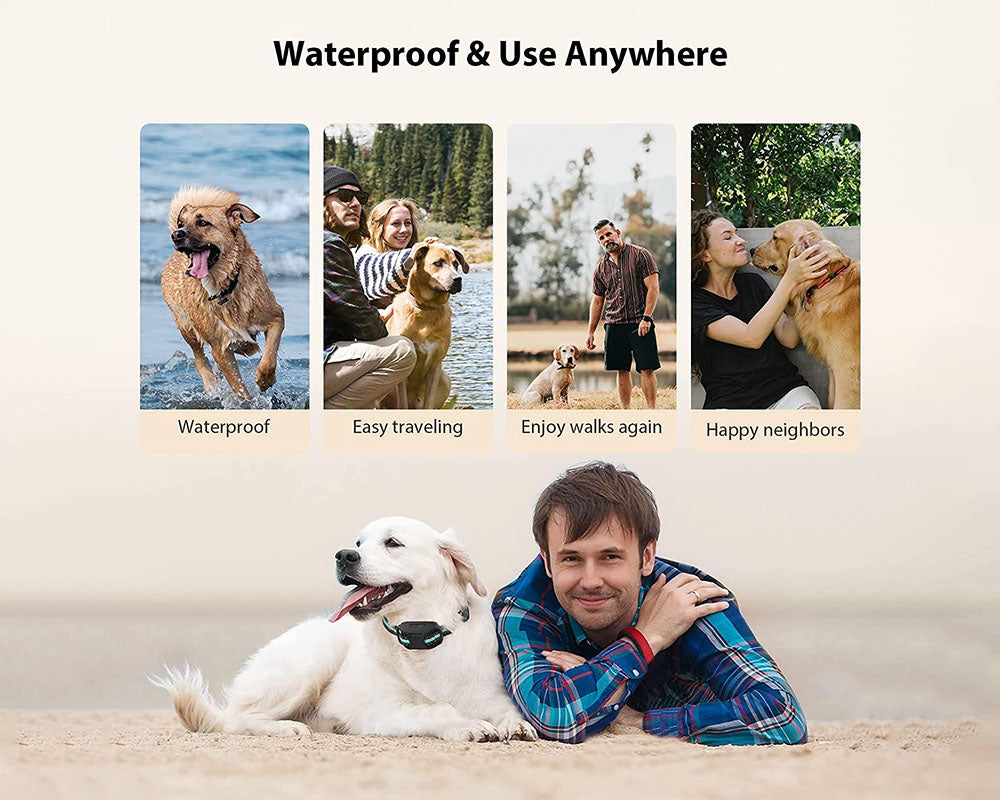 Anti Bark and Training Dog Collar