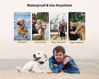 Anti Bark and Training Dog Collar