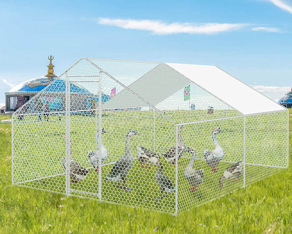 Outdoor Chicken Coop 4Mx3M